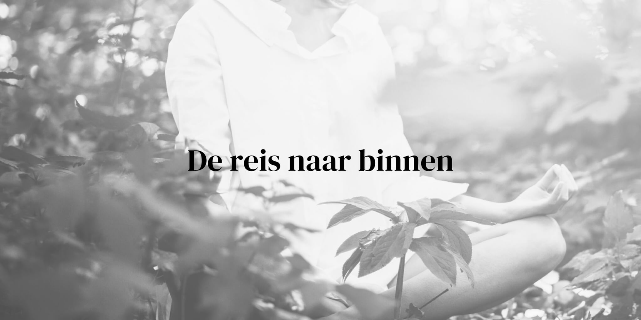 De reis naar binnen - iammozi blog