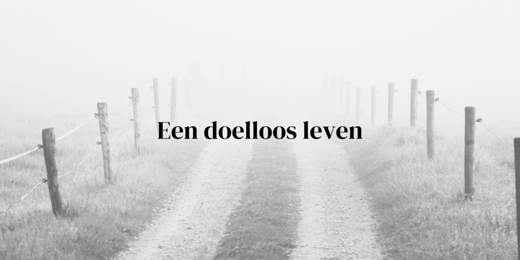 Een doelloos leven - iammozi blog